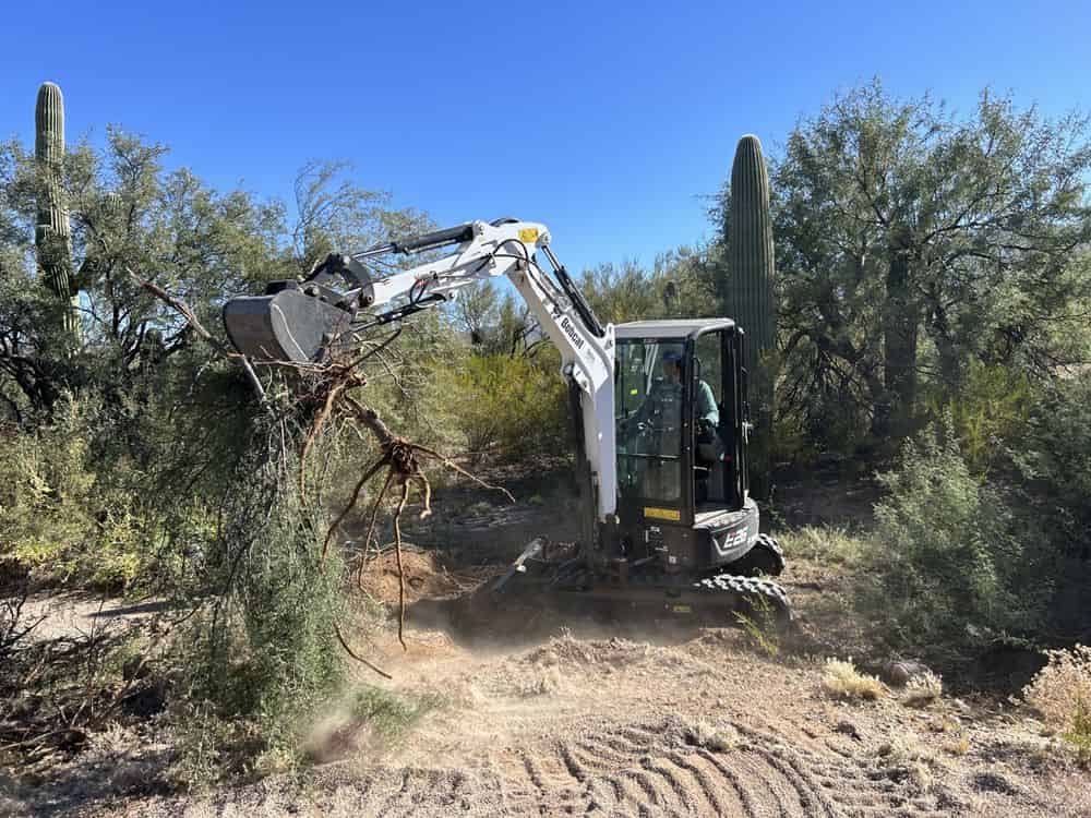 Land Clearing image