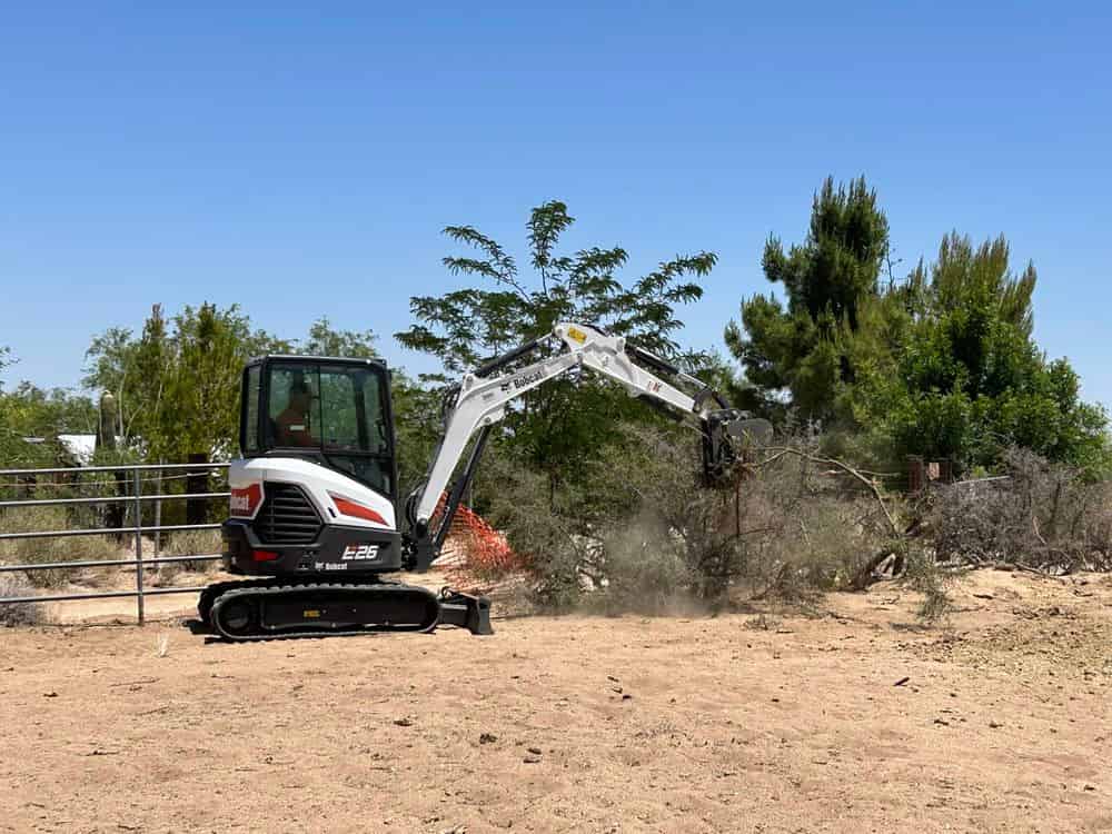 Mechanical Thinning & Vegetation Management image