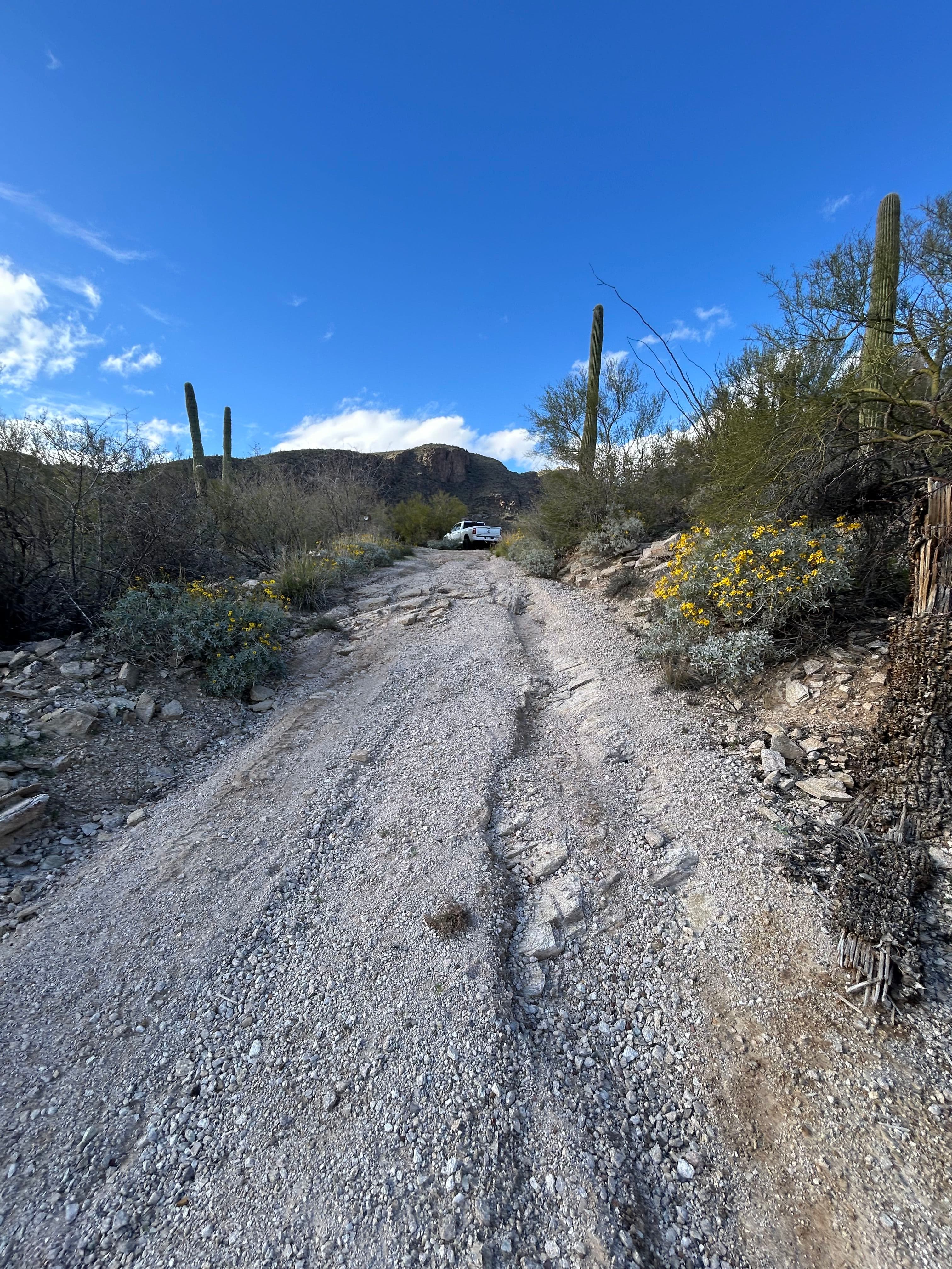 Featured post - How to Stop Erosion From Destroying Your Gravel Driveway