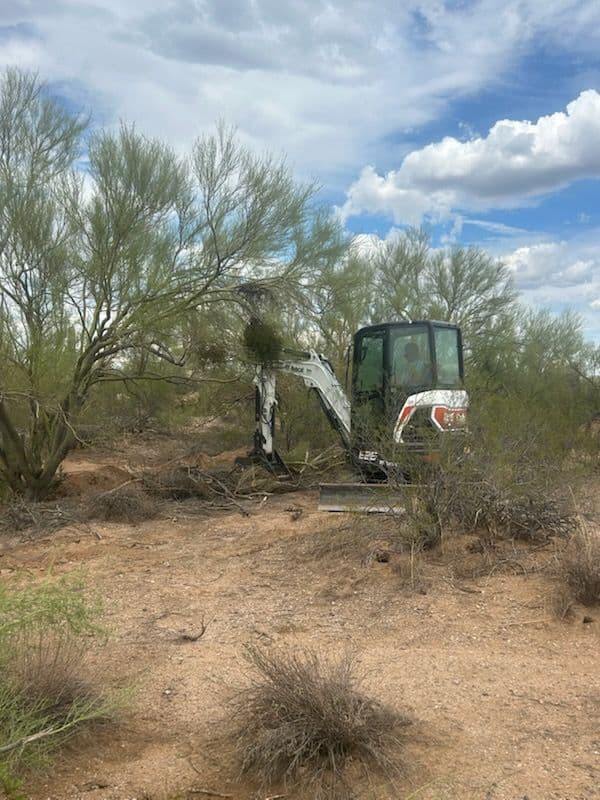 Desert Landscape Transformation in Marana AZ