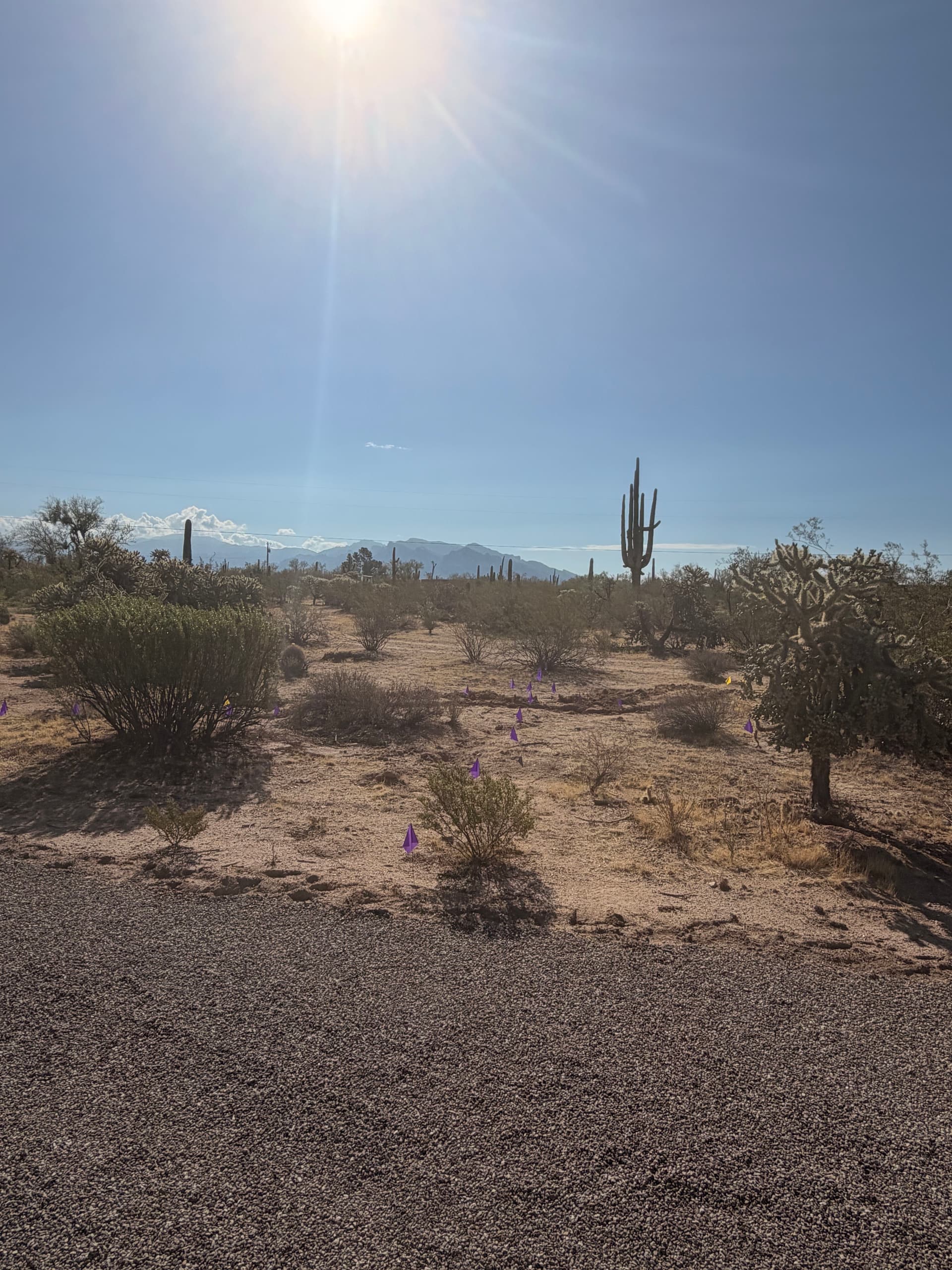 Gallery photos for Driveway Site Prep and Clearing in Pima County: Image #1