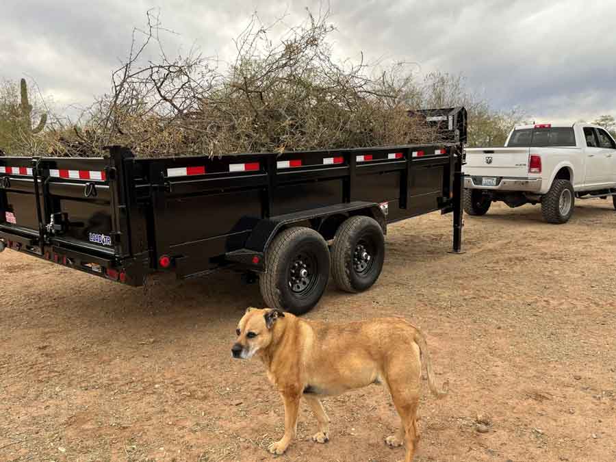 A Hercs Works trailer loaded with yard waste, next to the family dog.